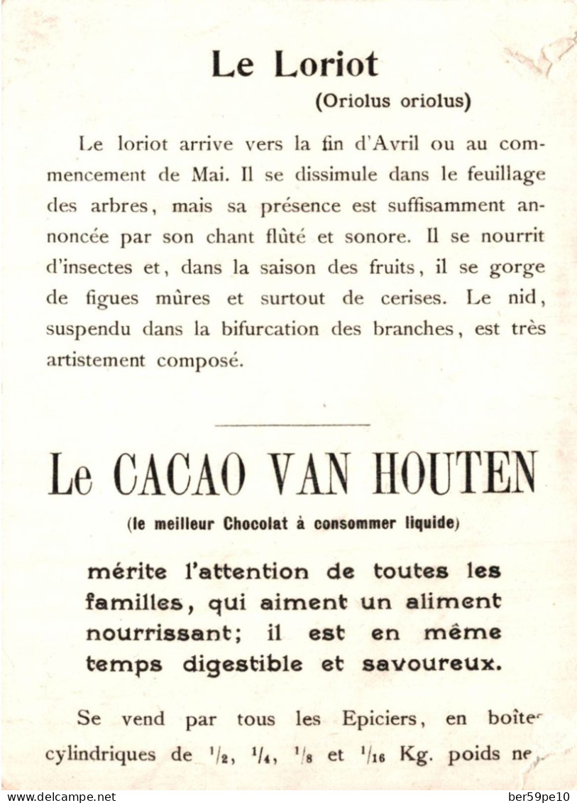 CHROMO CACAO VAN HOUTEN LES OISEAUX LE LORIOT N°30 - Van Houten