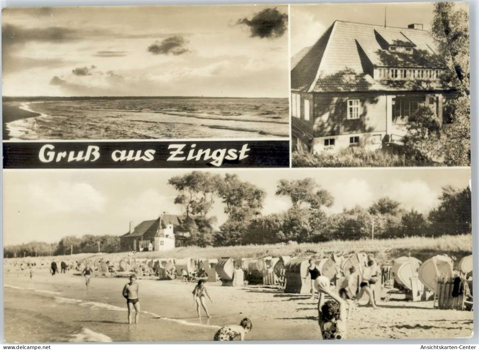 50865806 - Zingst , Ostseebad - Zingst