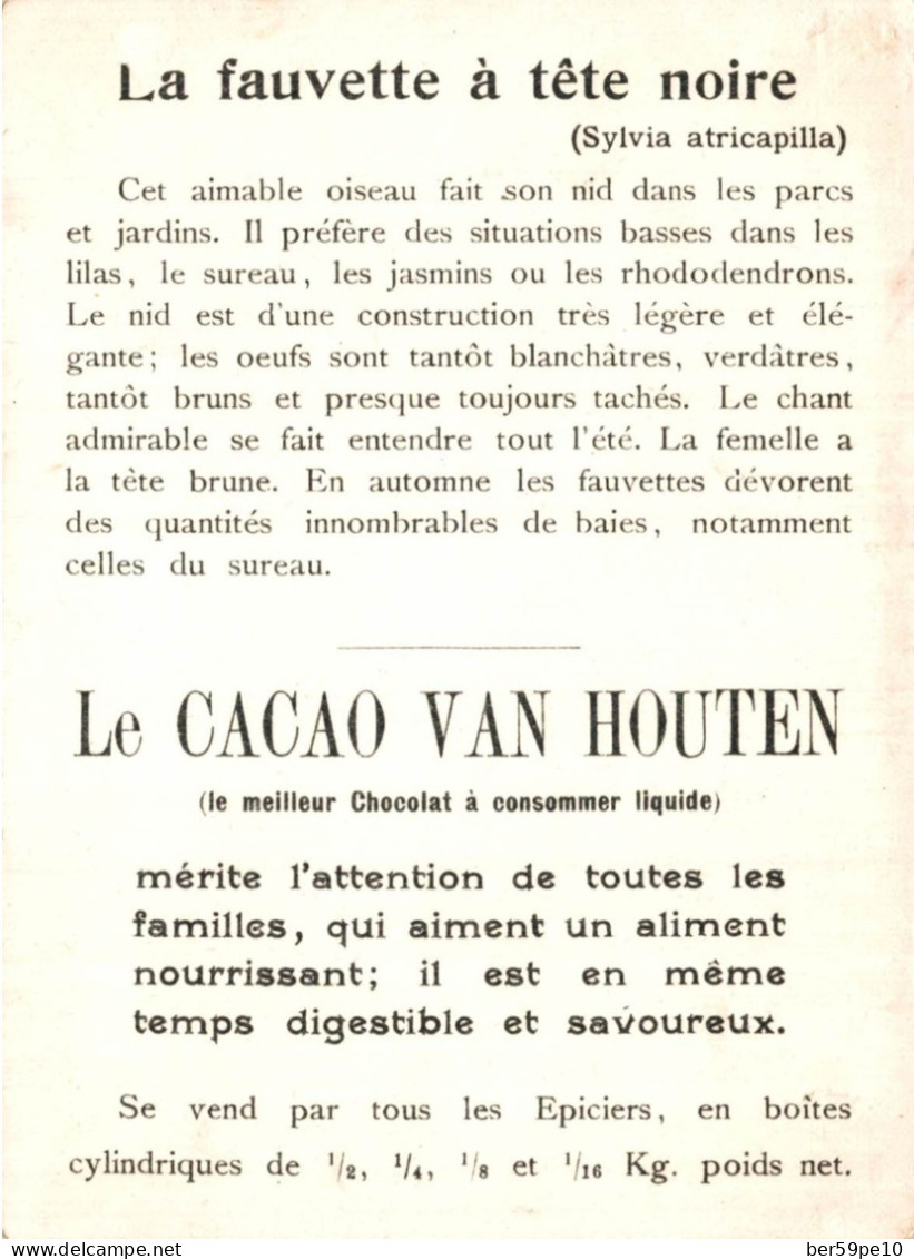 CHROMO CACAO VAN HOUTEN LES OISEAUX LA FAUVETTE A TETE NOIRE N°22 - Van Houten