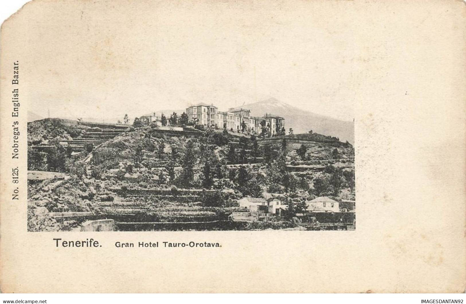 ESPAGNE #AS31483 TENERIFE GRAN HOTEL TAURO OROTAVA - Tenerife