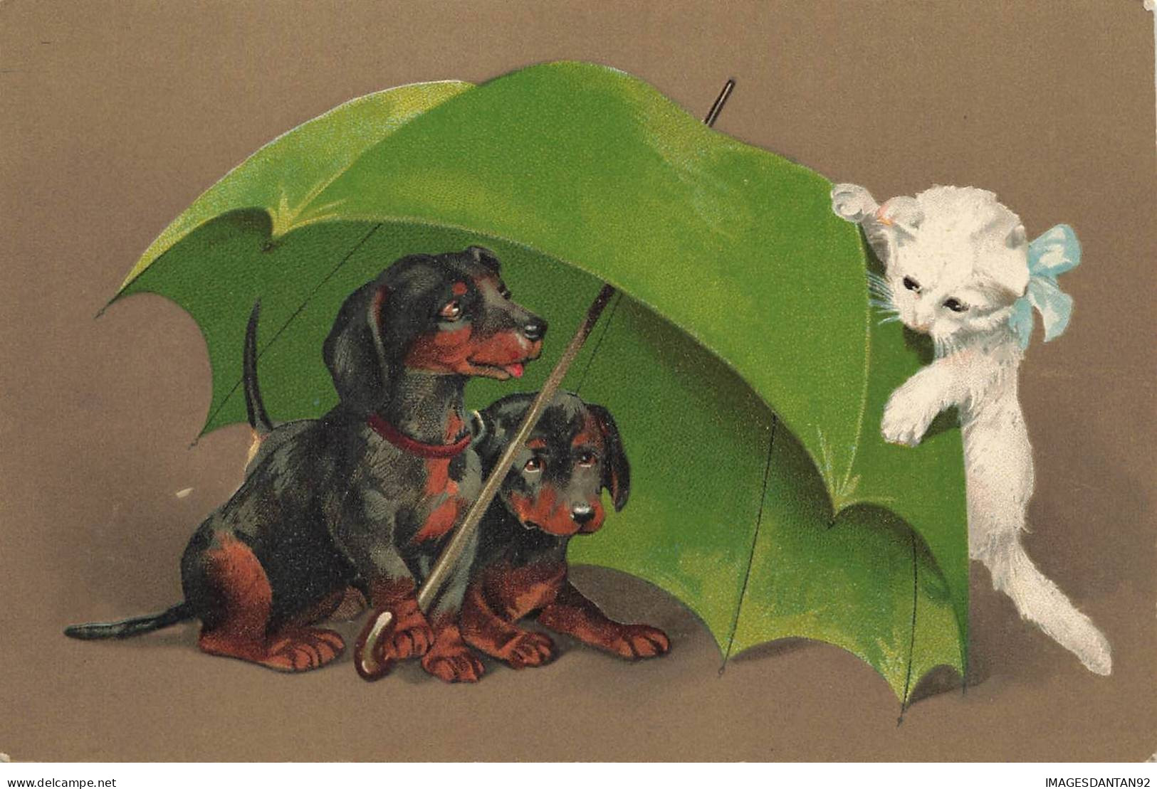 CHIENS CHIEN #FG36557 DOG HUND 2 CHIOTS TECKEL DACKEL ET CHATON KAYZE CAT SOUS UN PARAPLUIE VERT - Perros