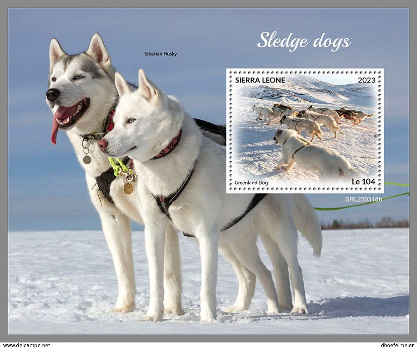 SIERRA LEONE 2023 MNH Sledge Dogs Schlittenhunde S/S – OFFICIAL ISSUE – DHQ2418 - Hunde