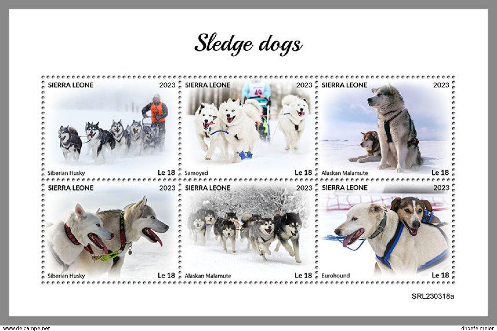 SIERRA LEONE 2023 MNH Sledge Dogs Schlittenhunde M/S – OFFICIAL ISSUE – DHQ2418 - Chiens