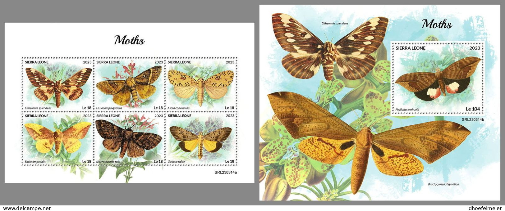 SIERRA LEONE 2023 MNH Moths Motten M/S+S/S – OFFICIAL ISSUE – DHQ2418 - Sonstige & Ohne Zuordnung