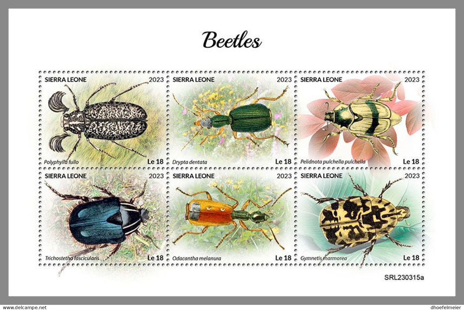 SIERRA LEONE 2023 MNH Beetles Käfer M/S – OFFICIAL ISSUE – DHQ2418 - Coléoptères