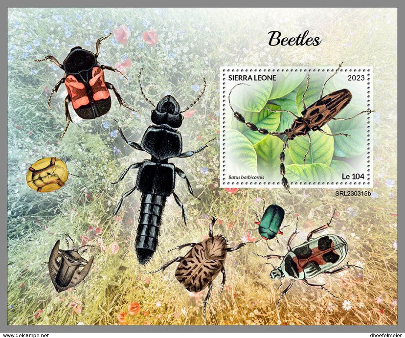 SIERRA LEONE 2023 MNH Beetles Käfer S/S – OFFICIAL ISSUE – DHQ2418 - Beetles