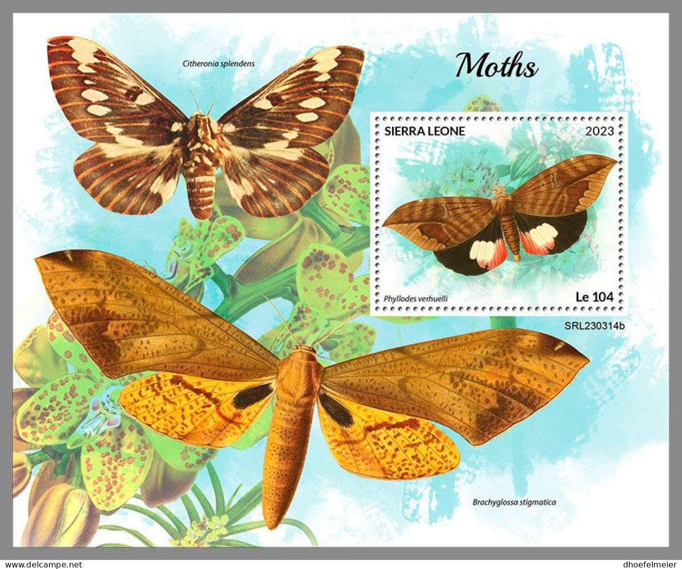 SIERRA LEONE 2023 MNH Moths Motten S/S – OFFICIAL ISSUE – DHQ2418 - Sonstige & Ohne Zuordnung
