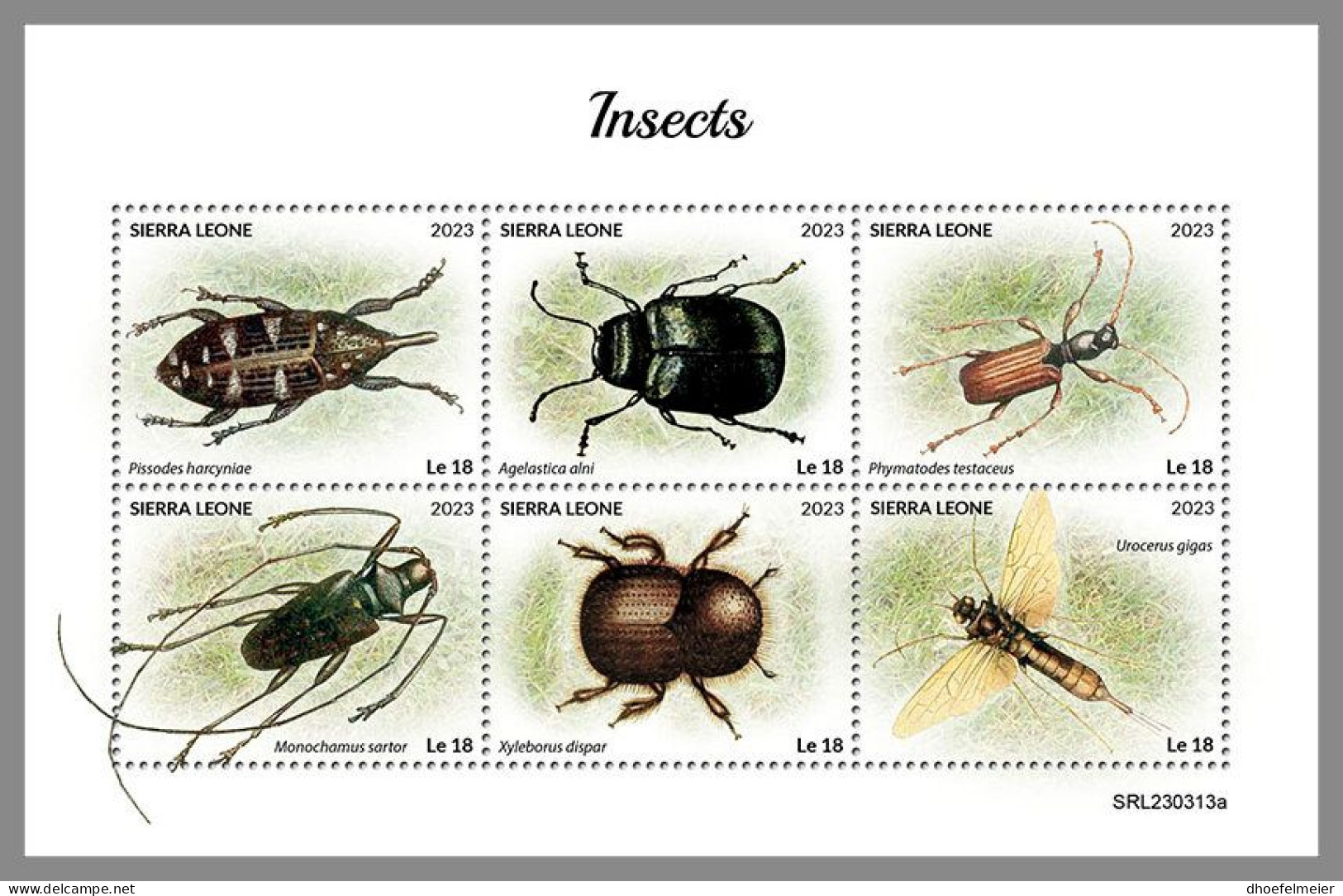 SIERRA LEONE 2023 MNH Insects Insekten M/S – OFFICIAL ISSUE – DHQ2418 - Sonstige & Ohne Zuordnung