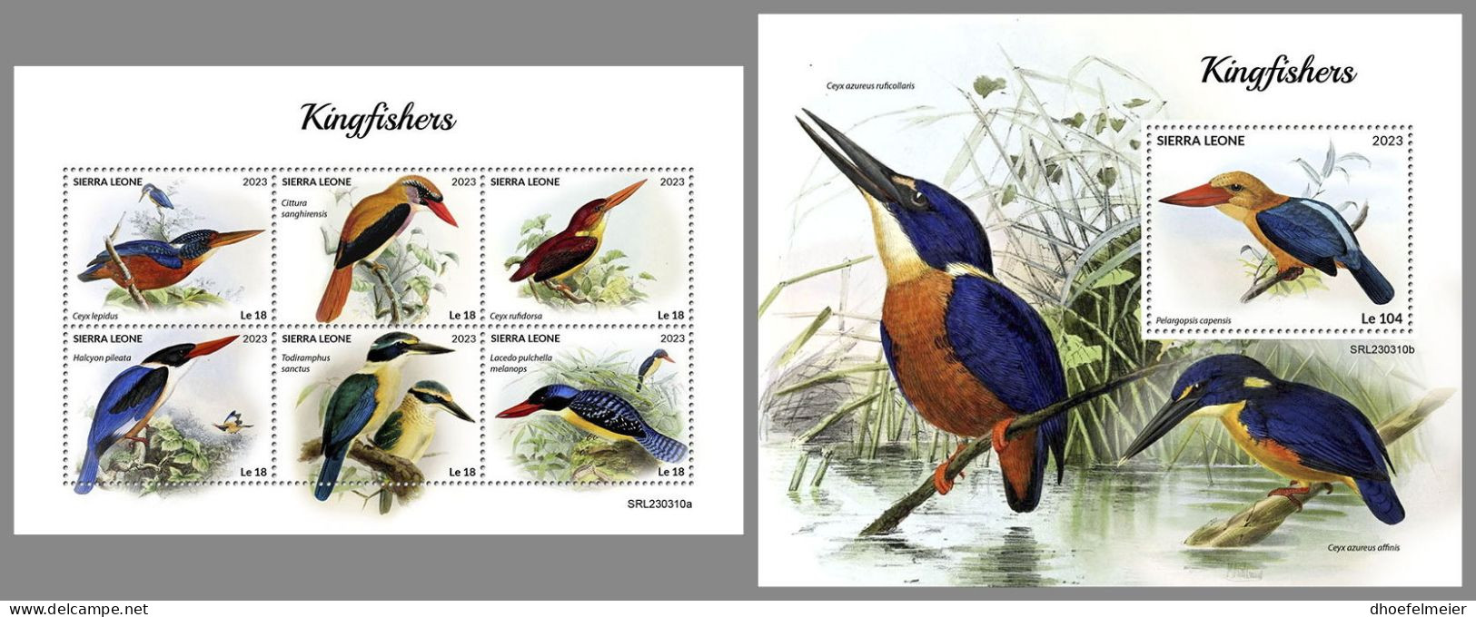 SIERRA LEONE 2023 MNH Kingfishers Eisvögel M/S+S/S – OFFICIAL ISSUE – DHQ2418 - Otros & Sin Clasificación