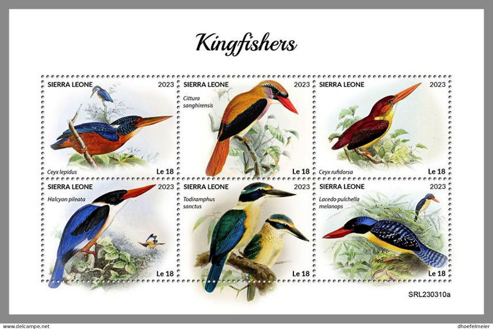 SIERRA LEONE 2023 MNH Kingfishers Eisvögel M/S – OFFICIAL ISSUE – DHQ2418 - Otros & Sin Clasificación