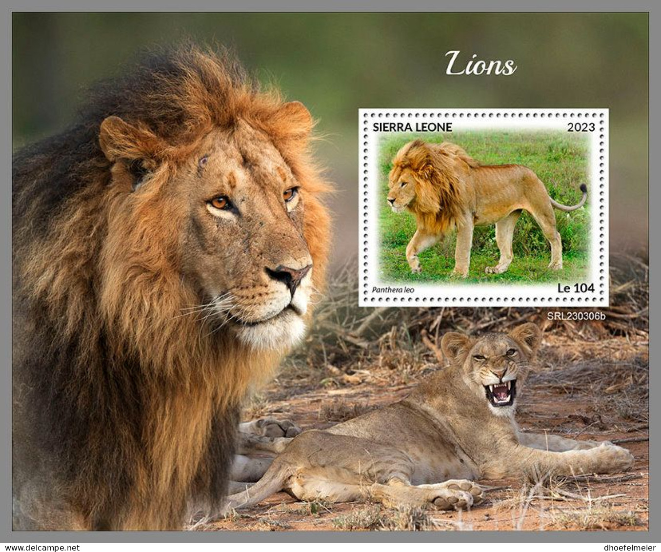 SIERRA LEONE 2023 MNH Lions Löwen S/S – OFFICIAL ISSUE – DHQ2418 - Big Cats (cats Of Prey)