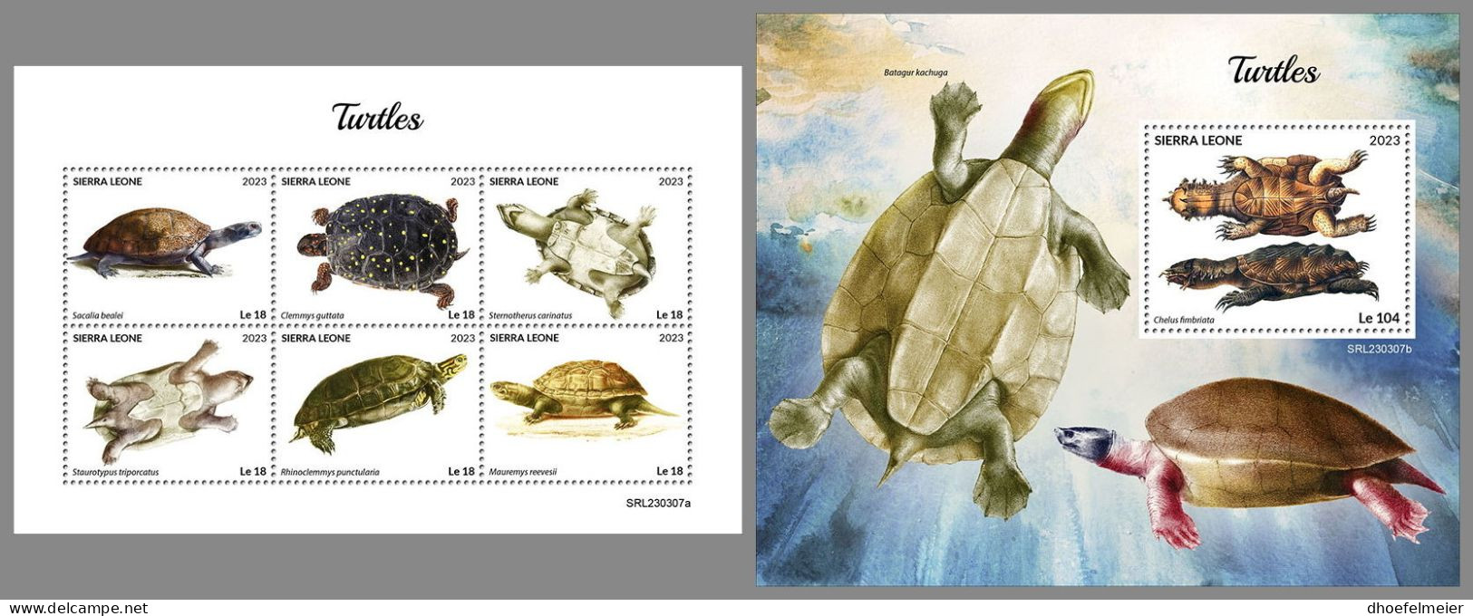 SIERRA LEONE 2023 MNH Turtles Schildkröten M/S+S/S – OFFICIAL ISSUE – DHQ2418 - Tortues