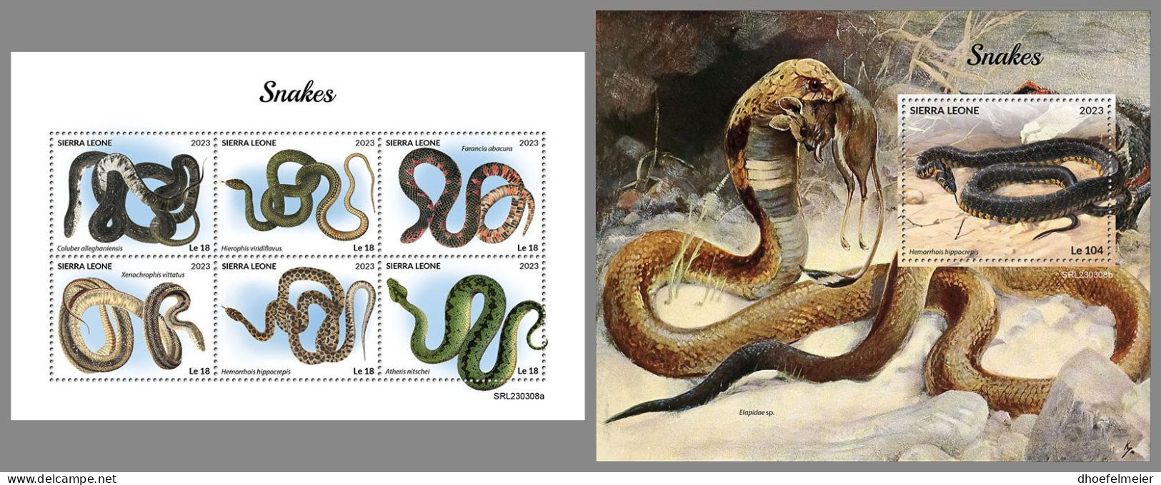 SIERRA LEONE 2023 MNH Snakes Schlangen M/S+S/S – OFFICIAL ISSUE – DHQ2418 - Snakes