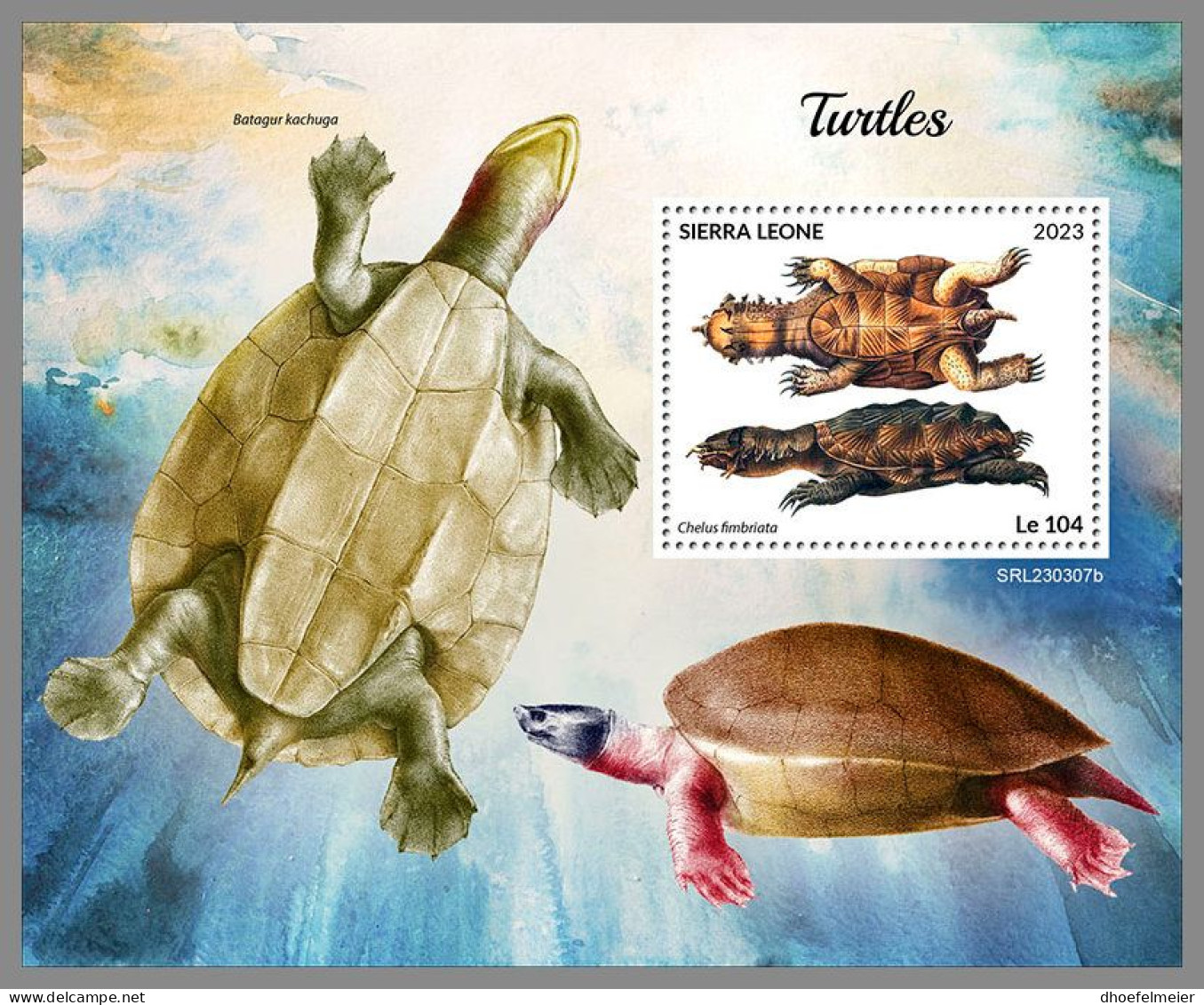 SIERRA LEONE 2023 MNH Turtles Schildkröten S/S – OFFICIAL ISSUE – DHQ2418 - Tortues