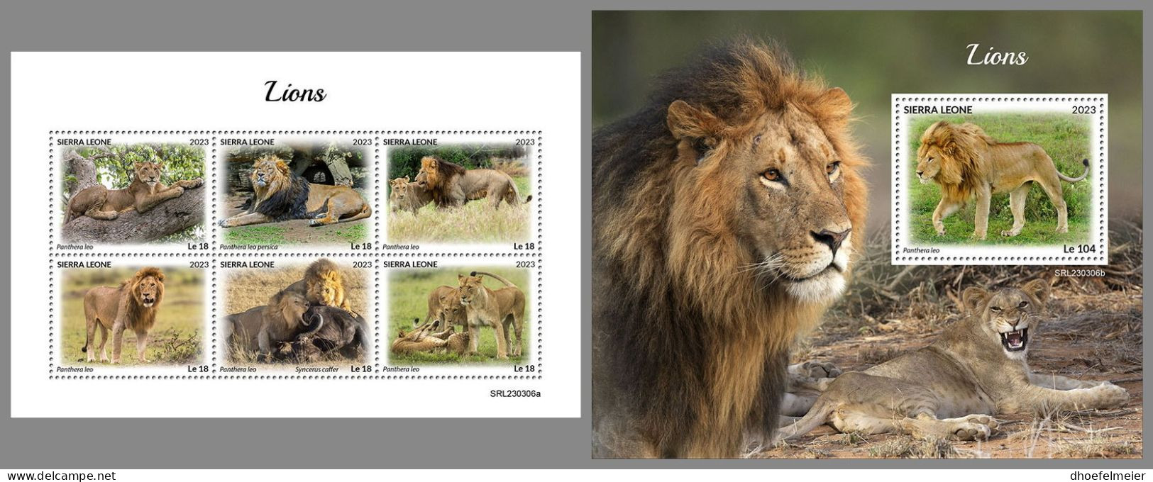 SIERRA LEONE 2023 MNH Lions Löwen M/S+S/S – OFFICIAL ISSUE – DHQ2418 - Big Cats (cats Of Prey)