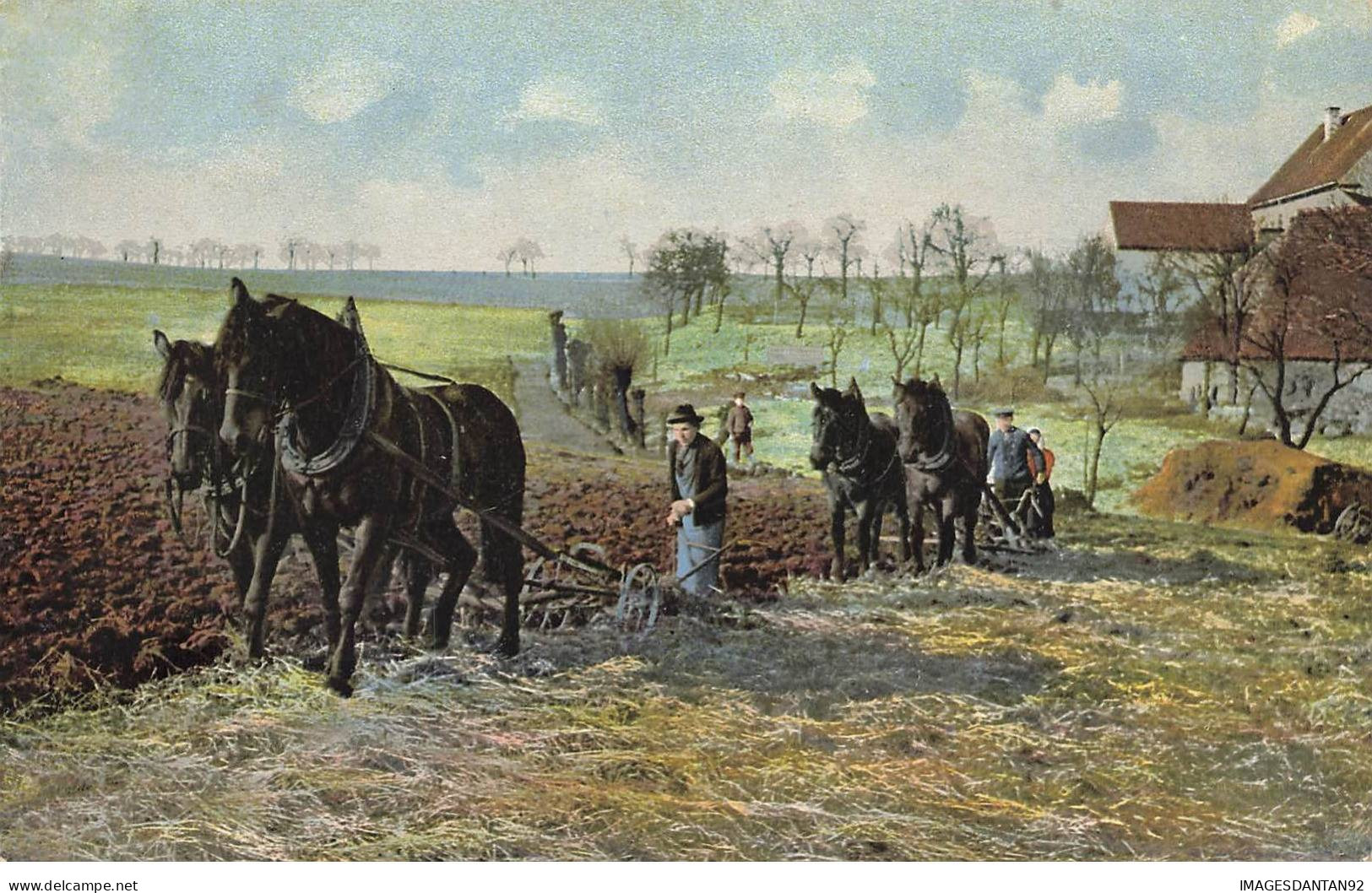 AGRICULTURE #AS36609 ATTELAGE SCENE DE LABOUR HERSE HERSAGE CHEVAUX PAYSANS - Attelages