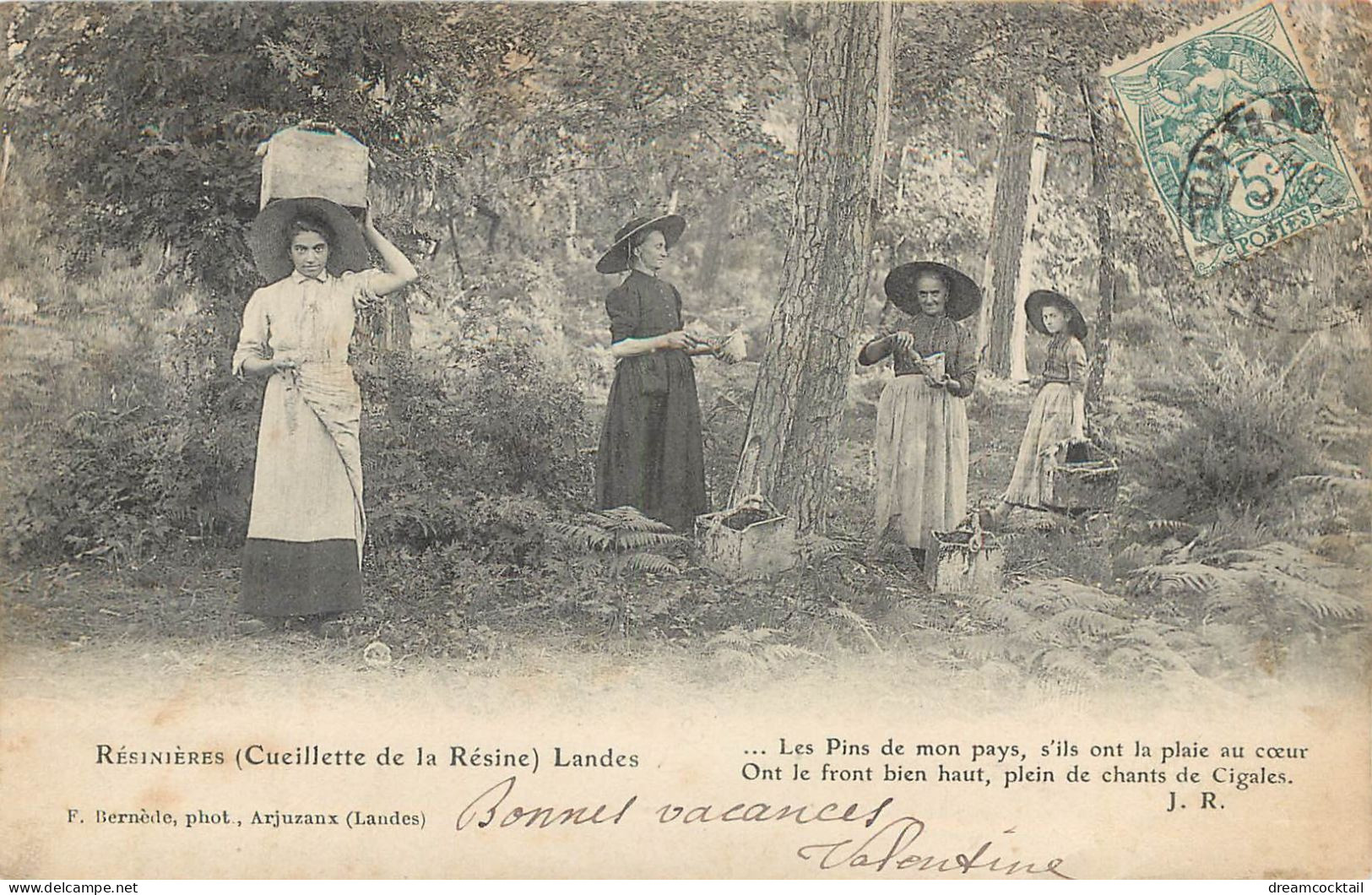 40 LES LANDES. Résinières Pour Cueillette De La Résine 1903 - Sonstige & Ohne Zuordnung