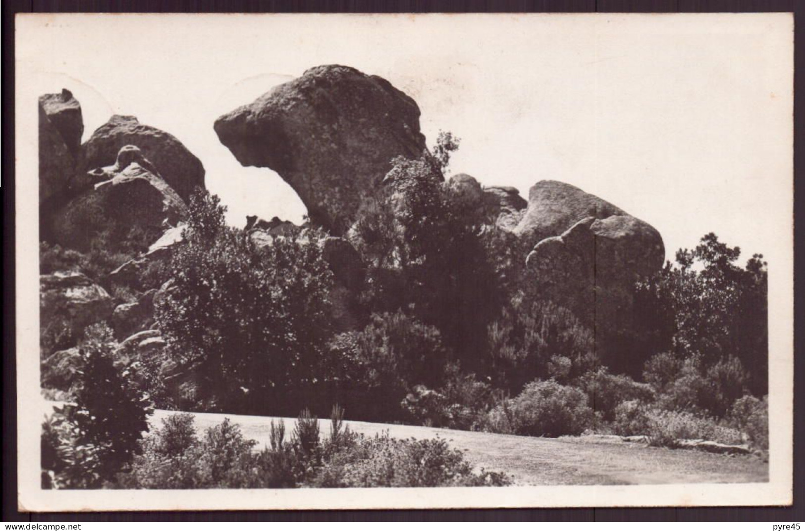 CALANCHES DE PIANA LA TETE DE CHIEN 20 - Sonstige & Ohne Zuordnung