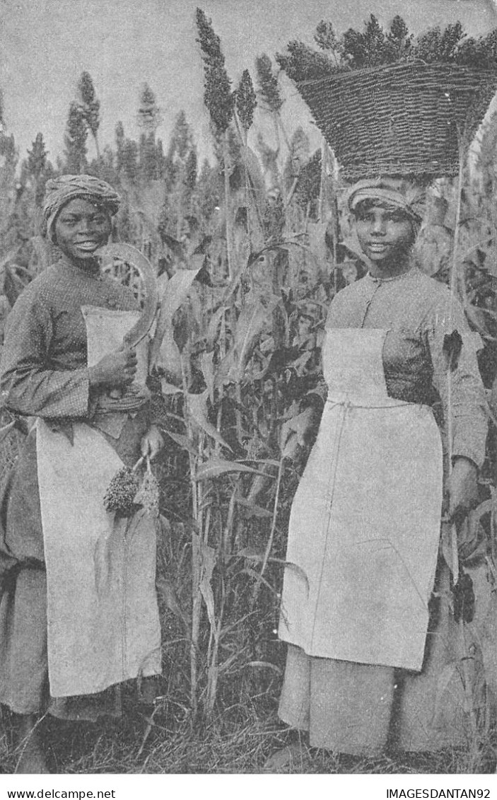 AFRIQUE DU SUD #MK44148 DEUX FEMMES METIER DE RECOLTE - South Africa