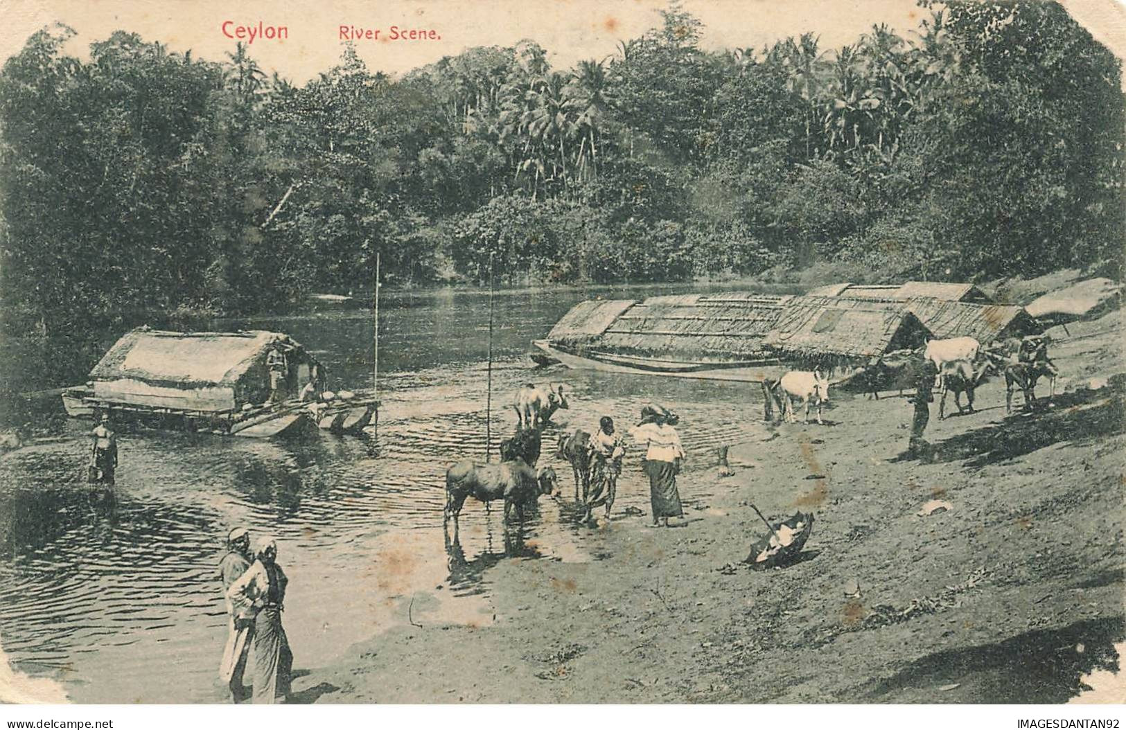 SRI LANKA #MK44232 CEYLON RIVER SCENE - Sri Lanka (Ceylon)