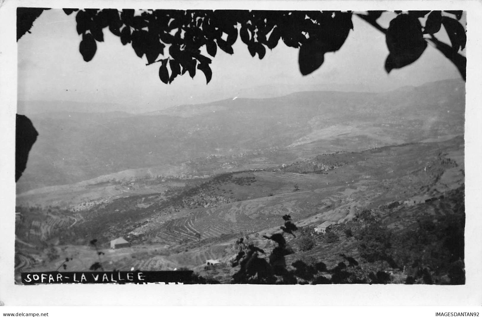 LIBAN #MK44275 SOFAR LA VALLEE VUE GENERALE CARTE PHOTO - Líbano