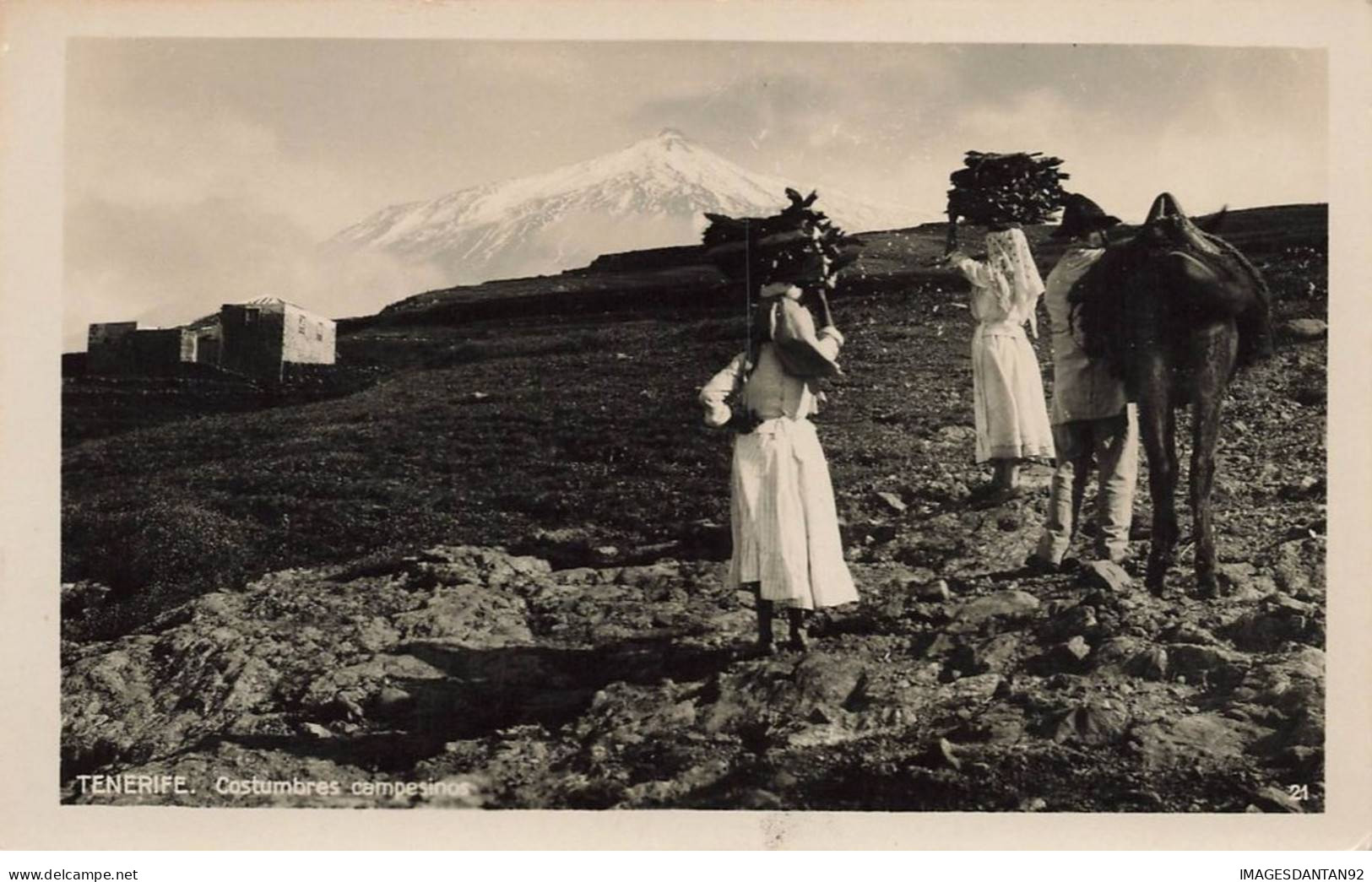 ESPAGNE #MK44365 TENERIFE COSTUMBRES CAMPESINOS - Tenerife