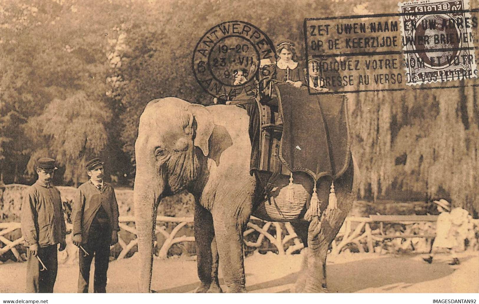 BELGIQUE #MK44780 JARDIN ZOOLOGIQUE ELEPHANT INDIEN - Antwerpen