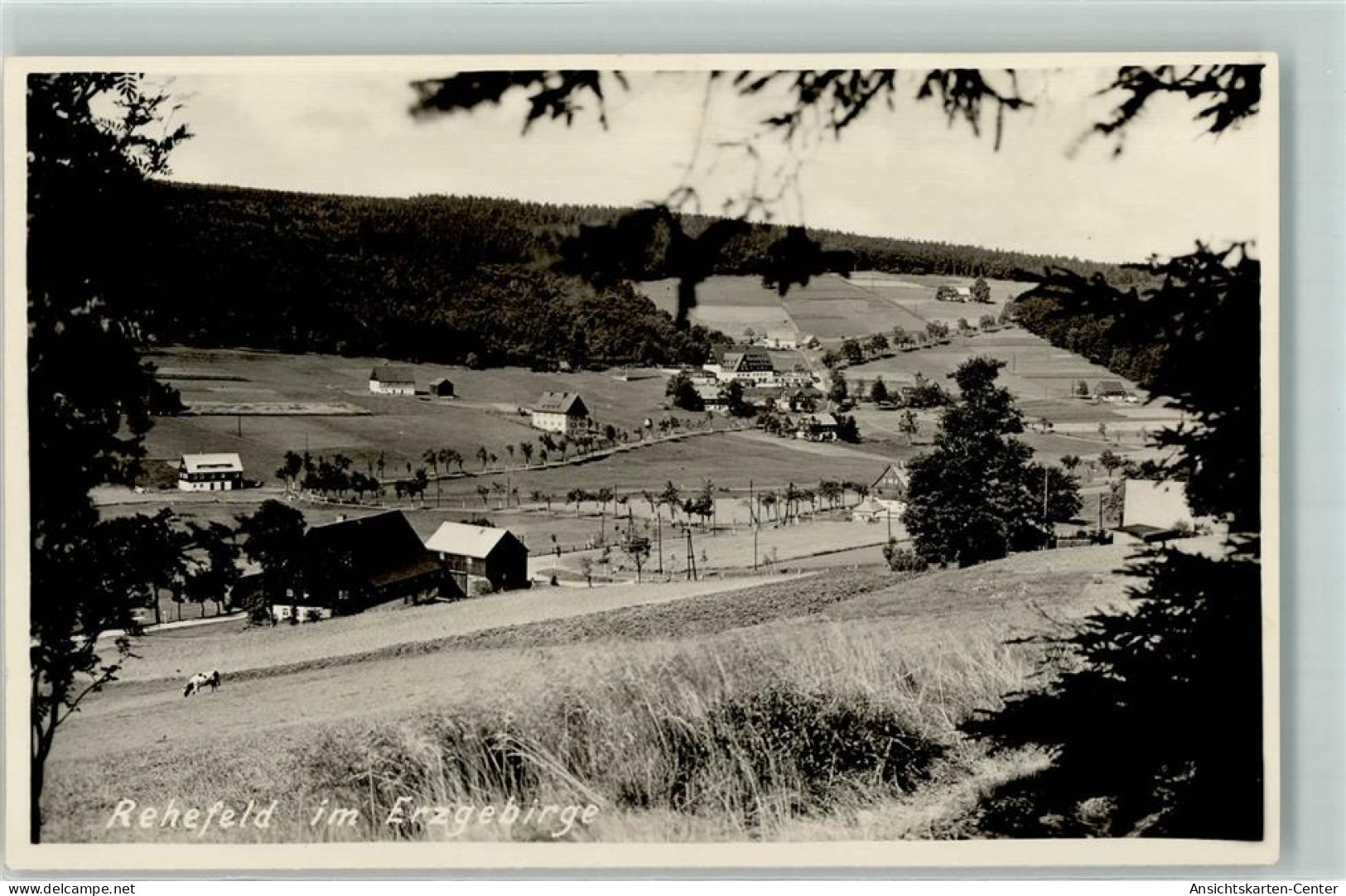 39162106 - Rehefeld-Zaunhaus - Altenberg