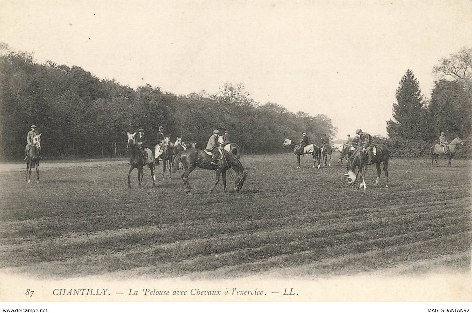 60 CHANTILLY #MK45306 LA PELOUSE AVEC CHEVAUX A L EXERCICE - Chantilly