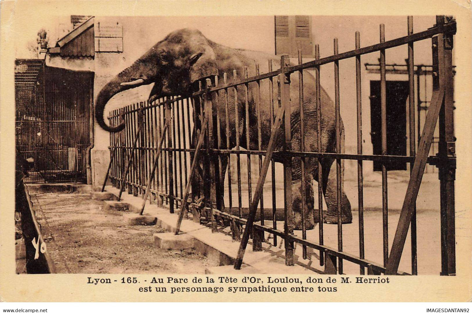 69 LYON #MK45390 PARC DE LA TETE D OR ELEPHANT - Lyon 1