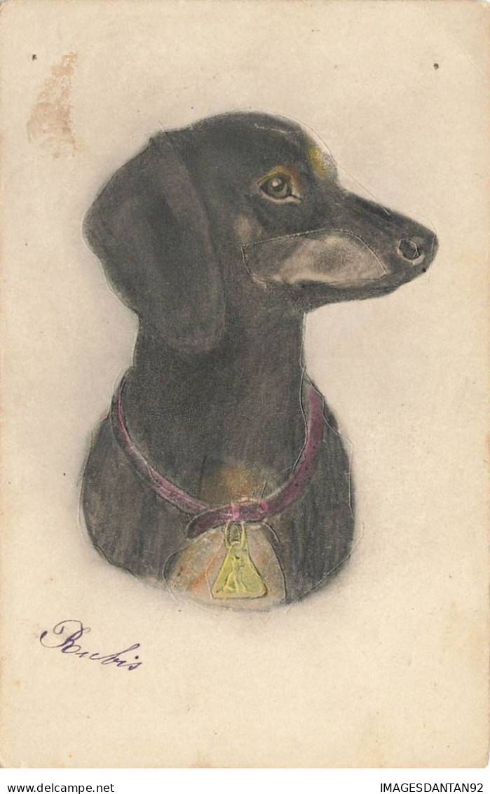 CHIENS #MK46721 PORTAIT D UN TECKEL DACHSHUND DACKEL - Hunde