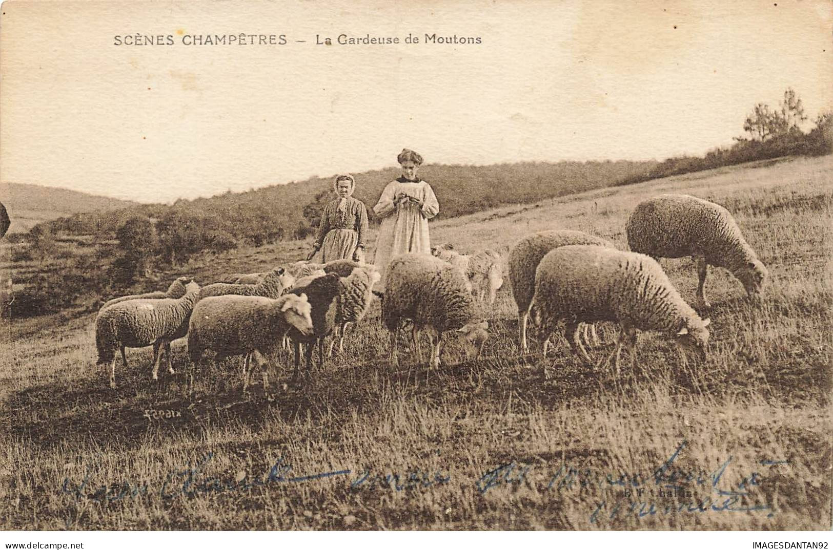 METIERS #MK45075 AGRICULTURE LA GARDEUSE DE MOUTONS - Landbouwers