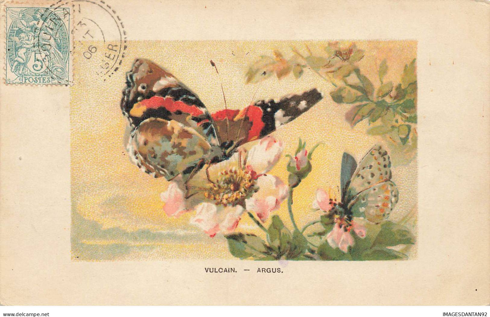 ANIMAUX #SAN47225 PAPILLONS POSES SUR DES ROSES VULCAIN ARGUS FLEURS - Schmetterlinge