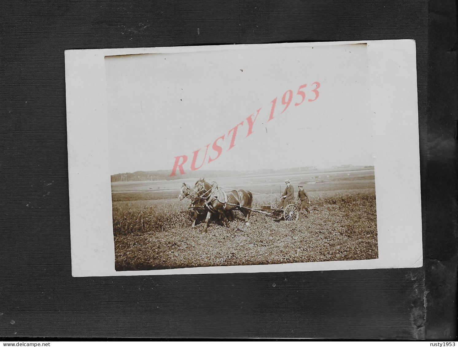 CARTE PHOTO DE LA FERME BORNAMBUSC 78 JUIN 1906 PERSONNAGES & ATTELAGE CHEVAUX RARE : - Bauernhöfe