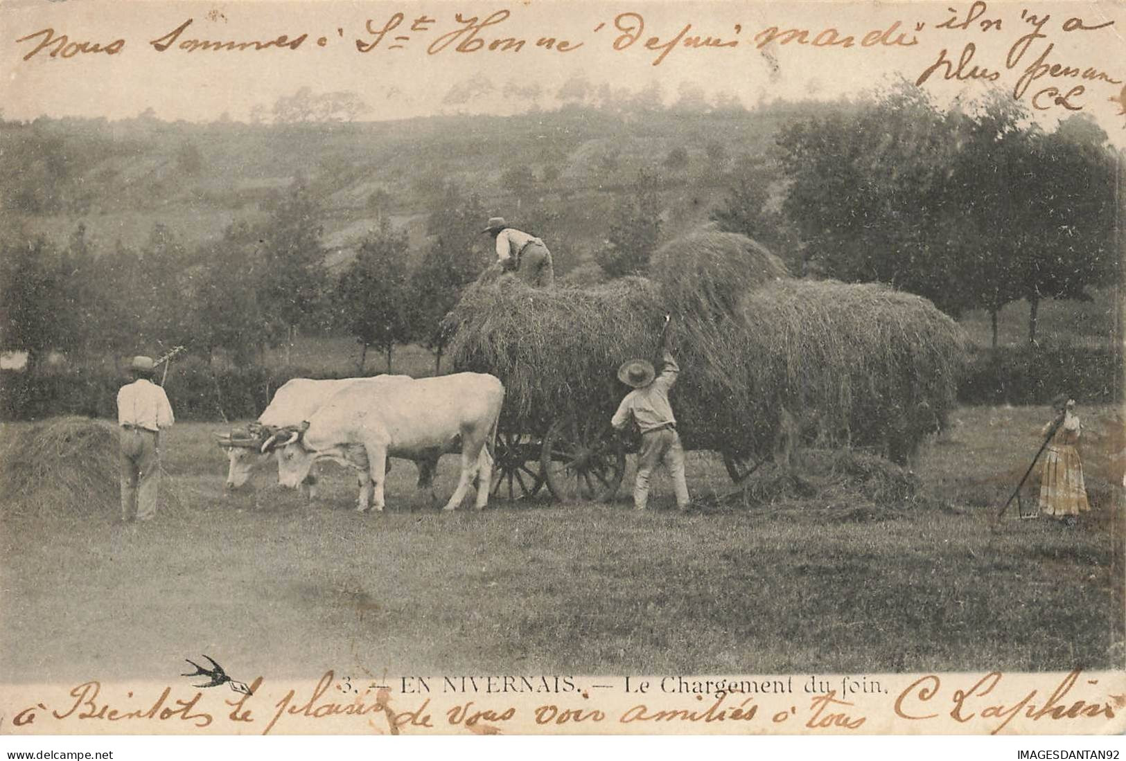 AGRICULTURE #SAN47127 METIER EN NIVERNAIS LE CHARGEMENT DU FOIN ATTELAGE DE BOEUFS - Wagengespanne