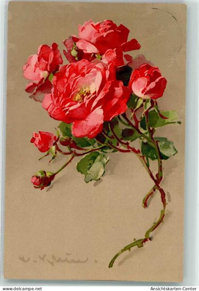 10665606 - Meissner U. Buch Serie 1834 Crimson Rambler Rose - Klein, Catharina