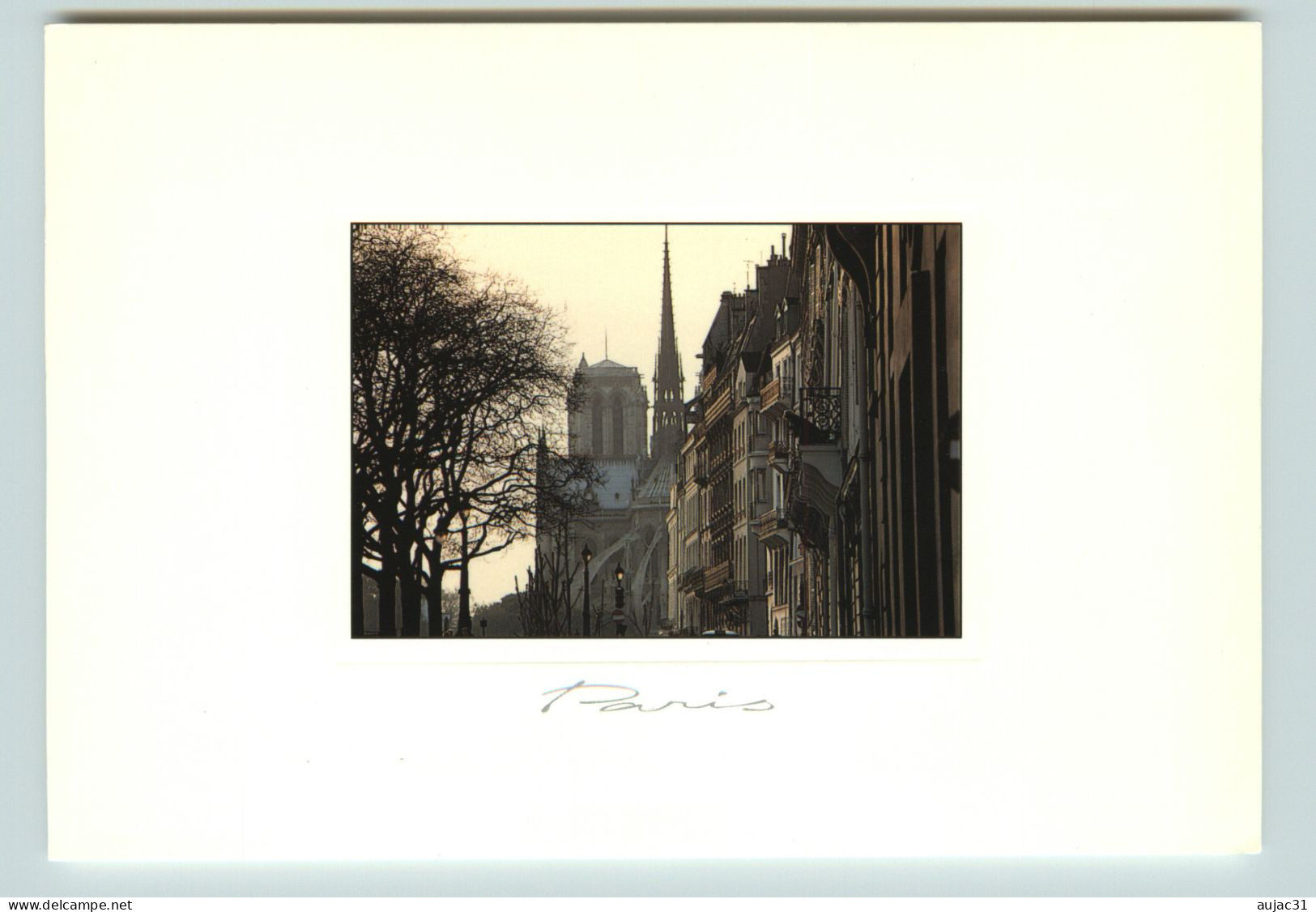 Dép 75 - Notre Dame De Paris - Arrondissement 04 - La Flèche De Notre Dame - Photographe - Photo J.C. Ponchel - Paris (04)