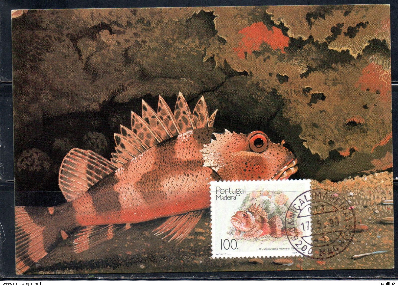 MADERA MADEIRA 1989 FISHES SCORPAENA MADERENSIS FISH 100e MAXI MAXIMUM CARD CARTE - Madère