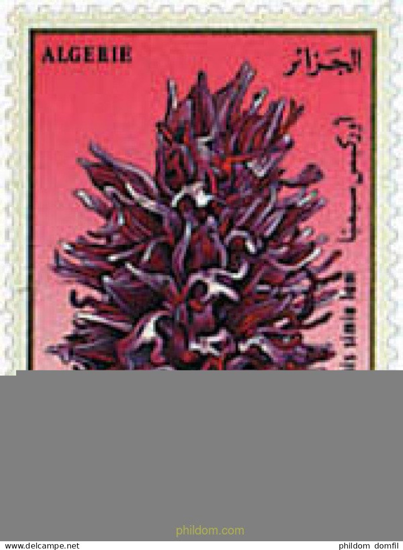 611881 MNH ARGELIA 1994 ORQUIDEAS - Argelia (1962-...)