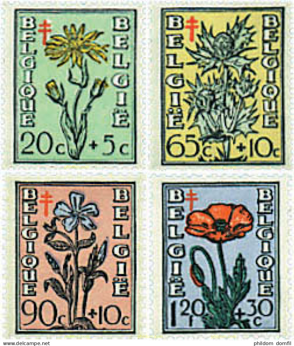 266823 HINGED BELGICA 1949 ANTITUBERCULOSIS - Sonstige & Ohne Zuordnung