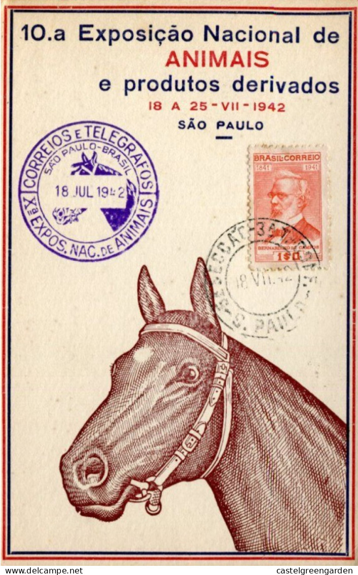 X0314 Brasil,special Card And Postmark Sao Paulo 18.7.1942 Exposicao Nac.de Animais,Horses,Pferd,chevaux - Reitsport