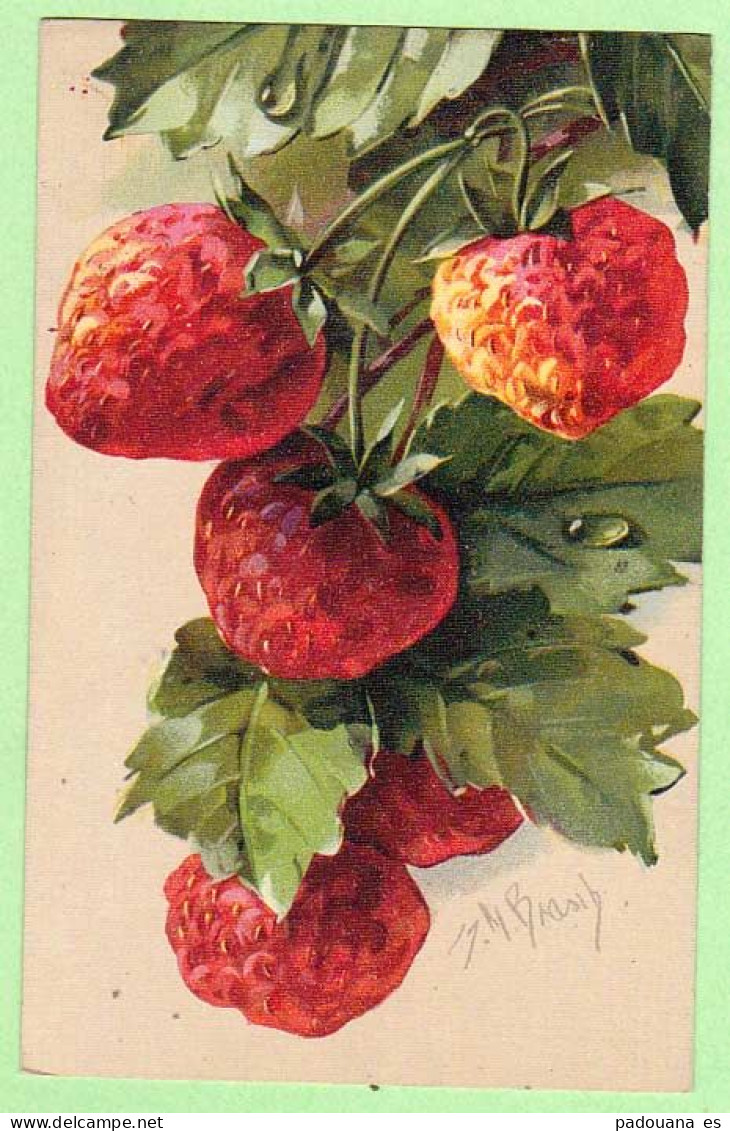 AD912 FANTAISIES FRUITS FRAISES S N BRASCH EDITION ALPHA - Autres & Non Classés