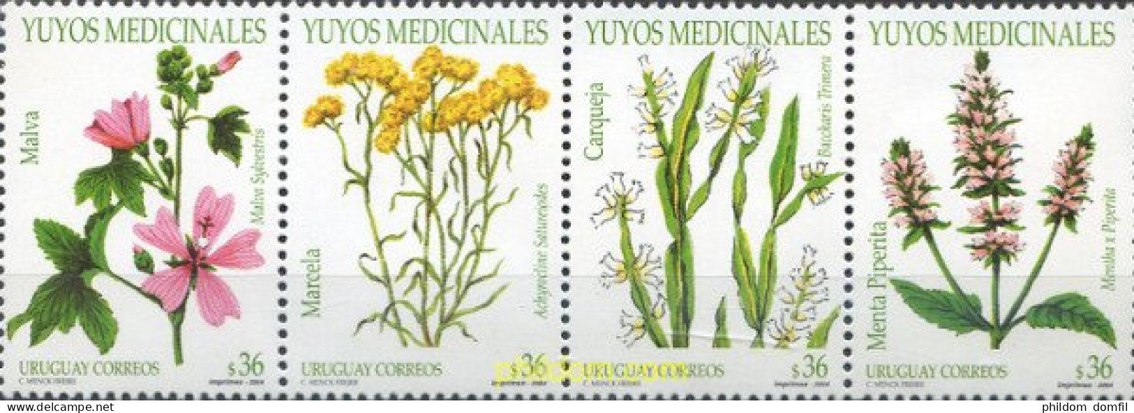 155306 MNH URUGUAY 2004 FLORES - Uruguay