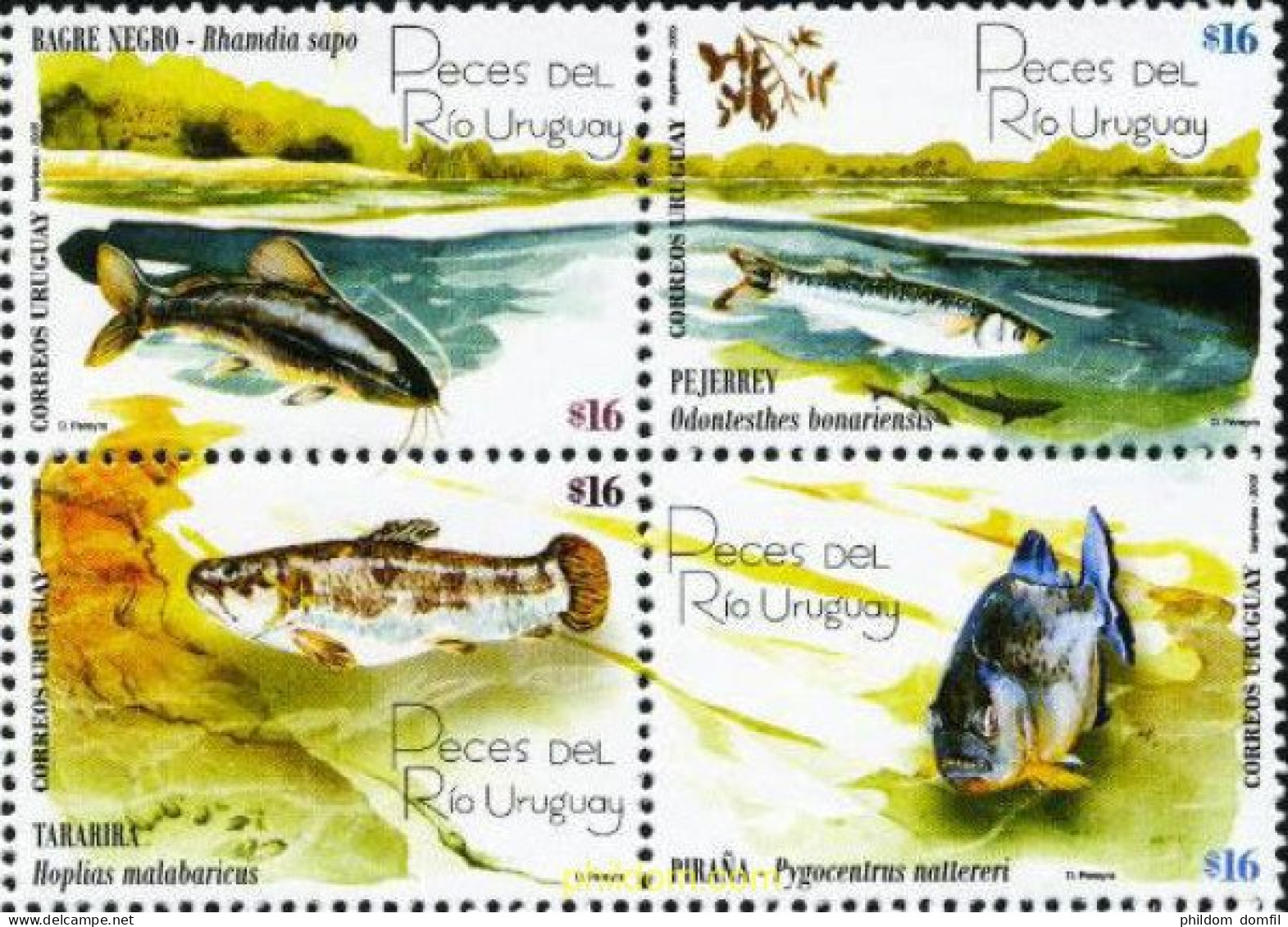 171503 MNH URUGUAY 2005 PECES DE URUGUAY - Uruguay