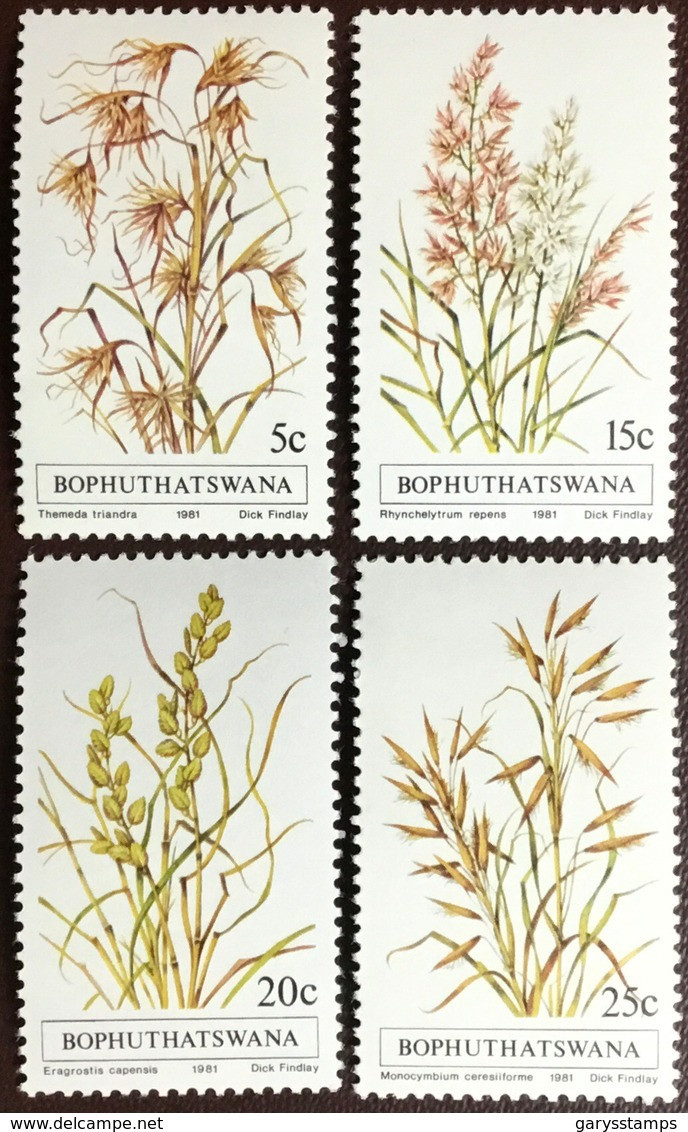 Bophuthatswana 1981 Indigenous Grasses MNH - Autres & Non Classés
