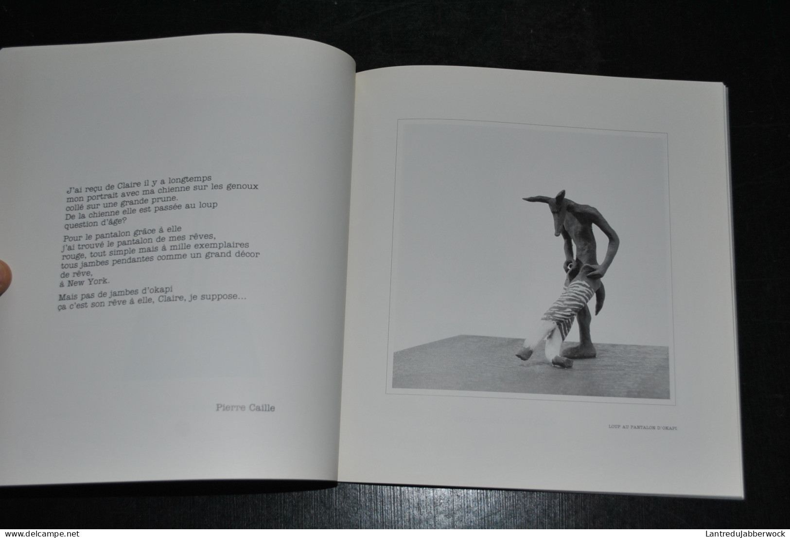 KIRKPATRICK Complicités Autour D'une Exposition Claire Et Les Loups Galerie KA 1990 Catalogue Num. 500ex Marïen Semal  - Art