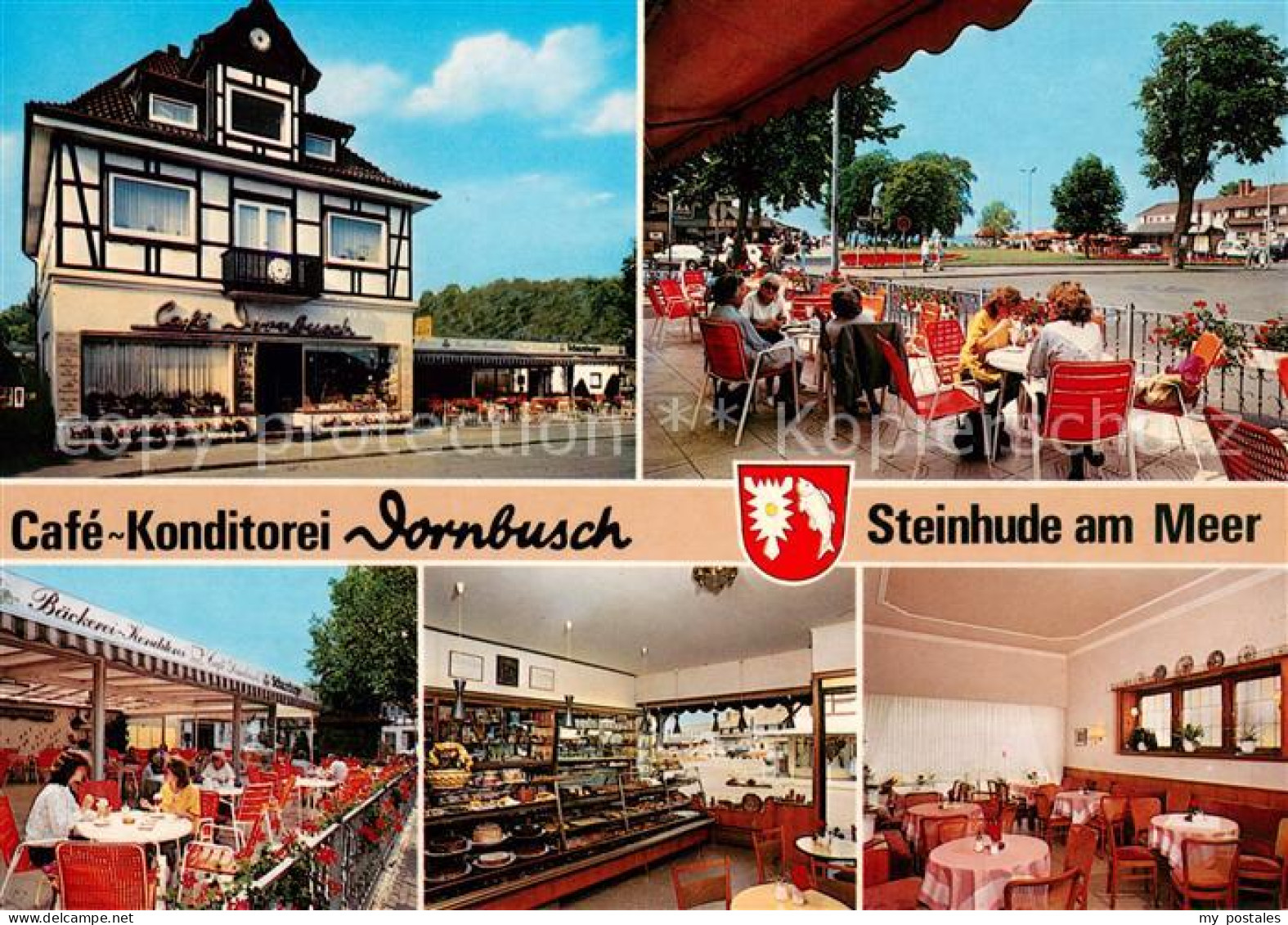 73641559 Steinhude Am Meer Cafe Konditorei Dornbusch Terrasse - Steinhude