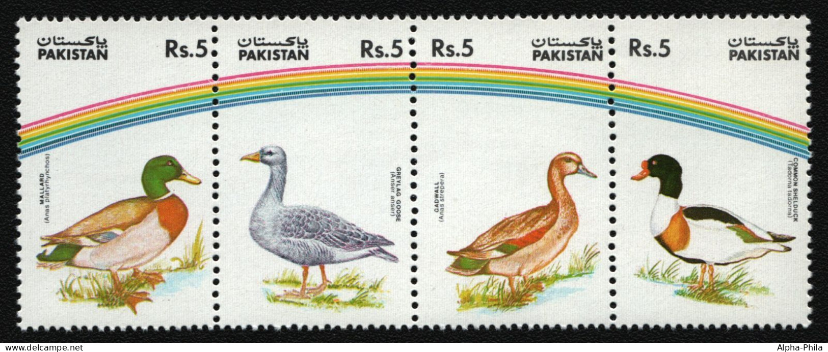 Pakistan 1992 - Mi-Nr. 863-866 ** - MNH - Vögel / Birds (I) - Pakistan