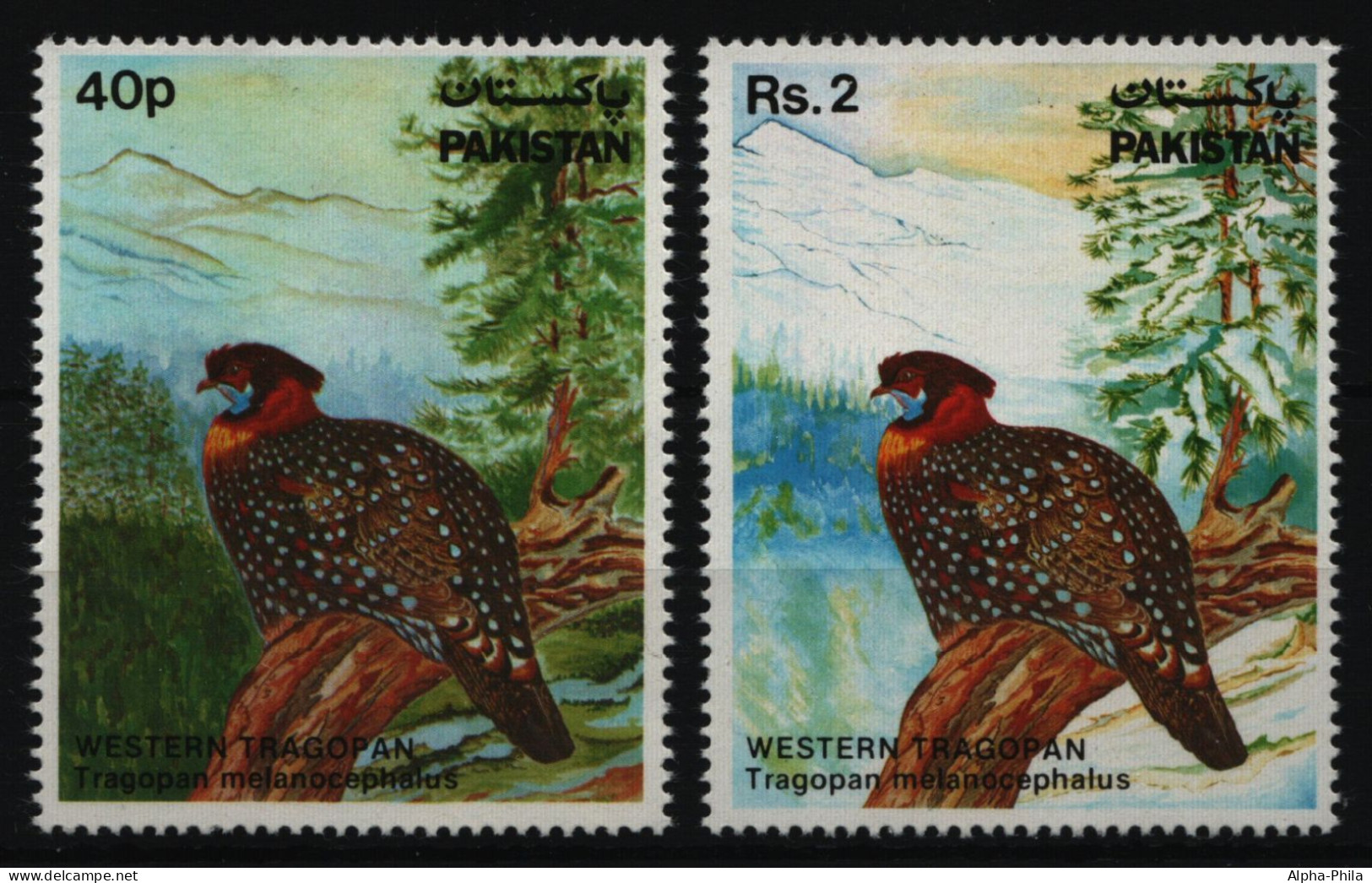 Pakistan 1981 - Mi-Nr. 560-561 ** - MNH - Vögel / Birds - Pakistan