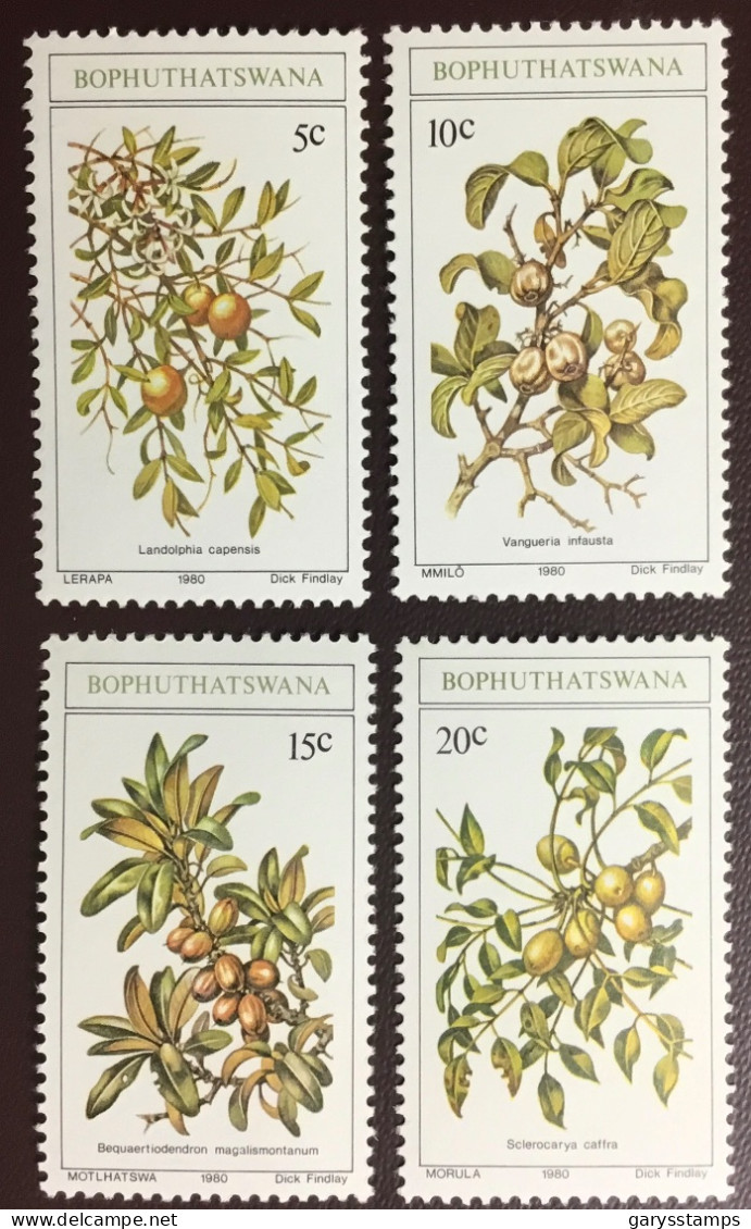 Bophuthatswana 1980 Edible Wild Fruits MNH - Fruit